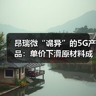 昂瑞微“诡异”的5G产品：单价下滑原材料成本增加 毛利率却飙升（图2）