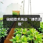 储能技术再添“绿色新锐”（图2）