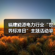 福建能源电力行业“世界标准日”主题活动举行（图4）