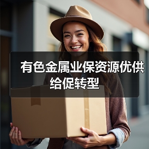 有色金属业保资源优供给促转型（图1）