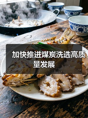 加快推进煤炭洗选高质量发展（图4）