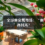 全球贵金属市场：“贵”得其所？（图2）