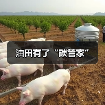 油田有了“碳管家”(图4) 油田有了“碳管家”(图4)