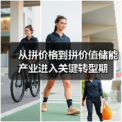 从拼价格到拼价值储能 产业进入关键转型期（图1）