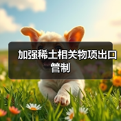 加强稀土相关物项出口管制（图3）