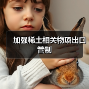 加强稀土相关物项出口管制（图2）