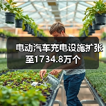 电动汽车充电设施扩张至1734.8万个(图3) 电动汽车充电设施扩张至1734.8万个(图3)