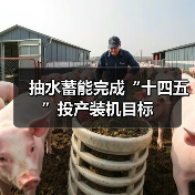 抽水蓄能完成“十四五”投产装机目标（图4）