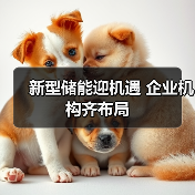 新型储能迎机遇 企业机构齐布局(图2) 新型储能迎机遇 企业机构齐布局(图2)