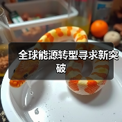 全球能源转型寻求新突破（图4）