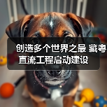 创造多个世界之最 藏粤直流工程启动建设(图2) 创造多个世界之最 藏粤直流工程启动建设(图2)