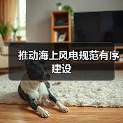 推动海上风电规范有序建设(图3) 推动海上风电规范有序建设(图3)