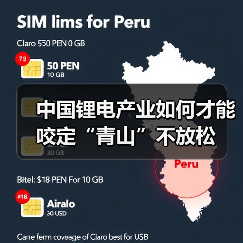 中国锂电产业如何才能咬定“青山”不放松(图1) 中国锂电产业如何才能咬定“青山”不放松(图1)