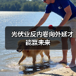 光伏业反内卷向外延才能赢未来(图2) 光伏业反内卷向外延才能赢未来(图2)