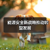 能源安全新战略推动转型发展(图2) 能源安全新战略推动转型发展(图2)