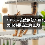 OPEC+连续恢复产量加大市场供应过剩压力(图1) OPEC+连续恢复产量加大市场供应过剩压力(图1)