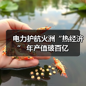 电力护航火洲“热经济” 年产值破百亿(图4) 电力护航火洲“热经济” 年产值破百亿(图4)