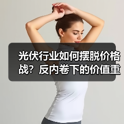 光伏行业如何摆脱价格战？反内卷下的价值重构之路（图1）
