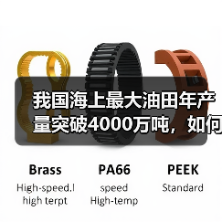 我国海上最大油田年产量突破4000万吨，如何保障能源安全？（图1）