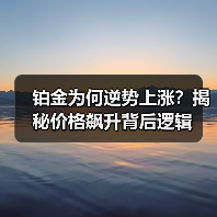 铂金为何逆势上涨？揭秘价格飙升背后逻辑（图4）