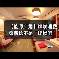 【能源广角】煤炭消费负增长不是“终场哨”(图4) 【能源广角】煤炭消费负增长不是“终场哨”(图4)
