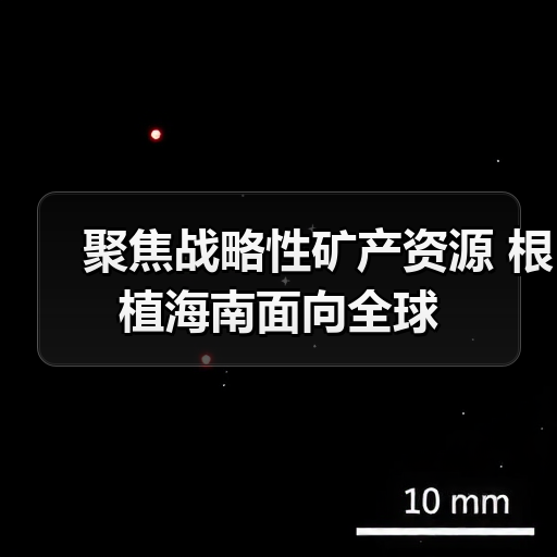 聚焦战略性矿产资源 根植海南面向全球(图2) 聚焦战略性矿产资源 根植海南面向全球(图2)