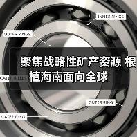 聚焦战略性矿产资源 根植海南面向全球(图3) 聚焦战略性矿产资源 根植海南面向全球(图3)