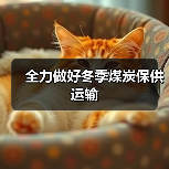 全力做好冬季煤炭保供运输(图3) 全力做好冬季煤炭保供运输(图3)