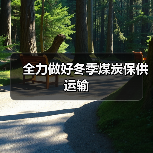 全力做好冬季煤炭保供运输(图4) 全力做好冬季煤炭保供运输(图4)