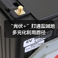 “光伏+”打通盐碱地多元化利用路径（图1）