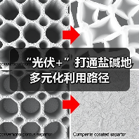 “光伏+”打通盐碱地多元化利用路径（图2）