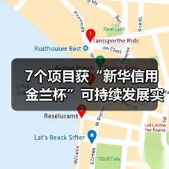 7个项目获“新华信用金兰杯”可持续发展实践成果奖（图1）