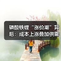 磷酸铁锂“涨价潮”背后：成本上涨叠加供需转暖 企业谋求提价减亏（图2）