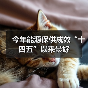 今年能源保供成效“十四五”以来最好（图2）