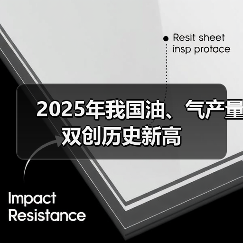 2025年我国油、气产量双创历史新高(图2) 2025年我国油、气产量双创历史新高(图2)