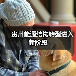 贵州能源结构转型进入新阶段（图4）