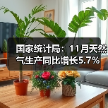 国家统计局：11月天然气生产同比增长5.7%（图3）