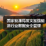 国家能源局发文加强能源行业数据安全管理(图2) 国家能源局发文加强能源行业数据安全管理(图2)