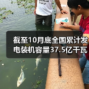 截至10月底全国累计发电装机容量37.5亿千瓦(图3) 截至10月底全国累计发电装机容量37.5亿千瓦(图3)