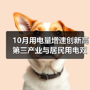 10月用电量增速创新高 第三产业与居民用电双驱动(图2) 10月用电量增速创新高 第三产业与居民用电双驱动(图2)