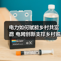 电力如何赋能乡村共富路 电网创新支撑乡村振兴（图3）