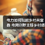 电力如何赋能乡村共富路 电网创新支撑乡村振兴（图1）