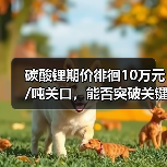 碳酸锂期价徘徊10万元/吨关口,能否突破关键阻力?(图1) 碳酸锂期价徘徊10万元/吨关口,能否突破关键阻力?(图1)