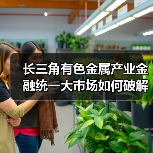 长三角有色金属产业金融统一大市场如何破解产业链堵点？（图2）