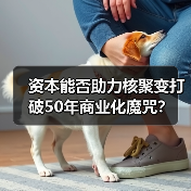 资本能否助力核聚变打破50年商业化魔咒?(图2) 资本能否助力核聚变打破50年商业化魔咒?(图2)