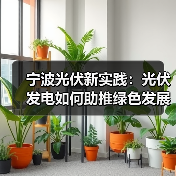 宁波光伏新实践:光伏发电如何助推绿色发展?(图4) 宁波光伏新实践:光伏发电如何助推绿色发展?(图4)