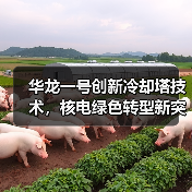 华龙一号创新冷却塔技术,核电绿色转型新突破(图2) 华龙一号创新冷却塔技术,核电绿色转型新突破(图2)