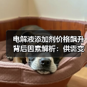 电解液添加剂价格飙升背后因素解析:供需变化引爆市场景气周期(图3) 电解液添加剂价格飙升背后因素解析:供需变化引爆市场景气周期(图3)