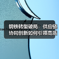 钢铁转型破局:供应链协同创新如何引领高质量发展?(图3) 钢铁转型破局:供应链协同创新如何引领高质量发展?(图3)