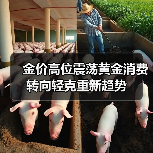 金价高位震荡黄金消费转向轻克重新趋势(图1) 金价高位震荡黄金消费转向轻克重新趋势(图1)